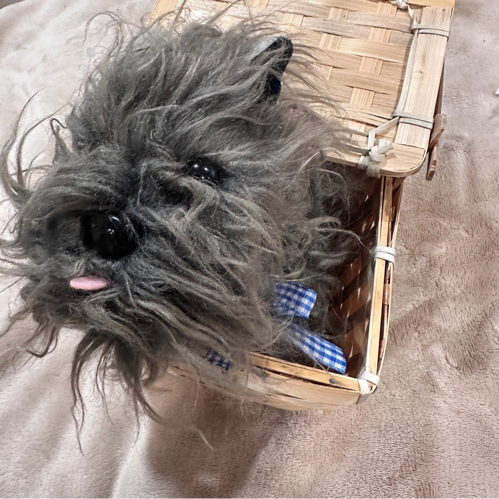 Toto in basket from Wizard of Oz